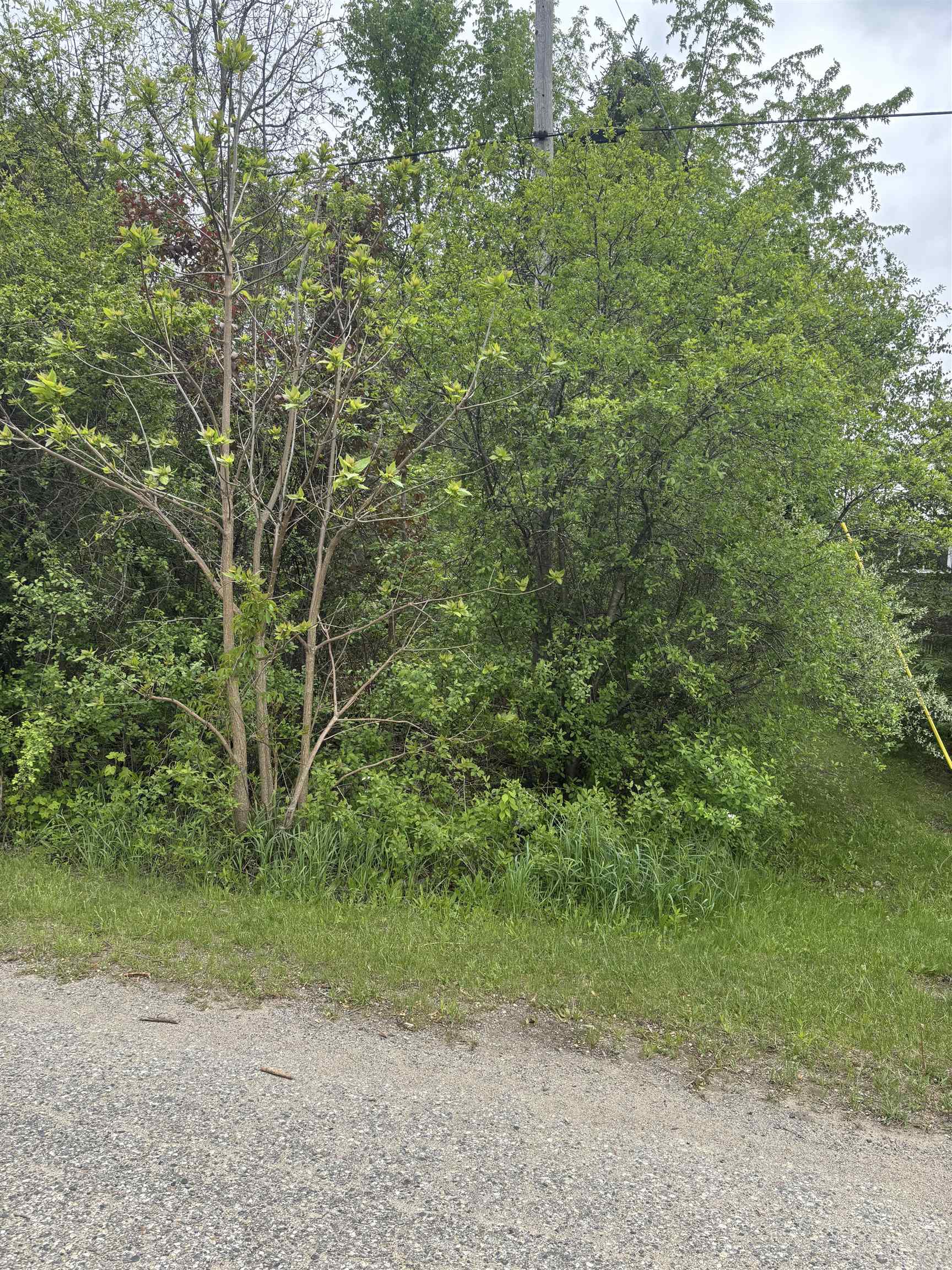 Lot 49 Leona Drive, Mount Pleasant MI 48858 photo 1