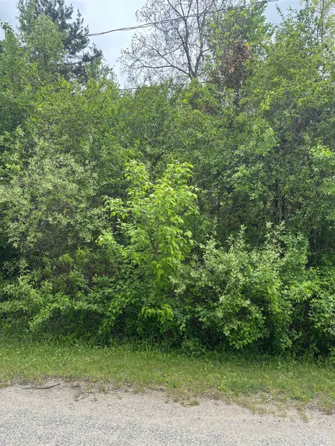 Lot 49 Leona Drive, Mount Pleasant MI 48858 photo 2