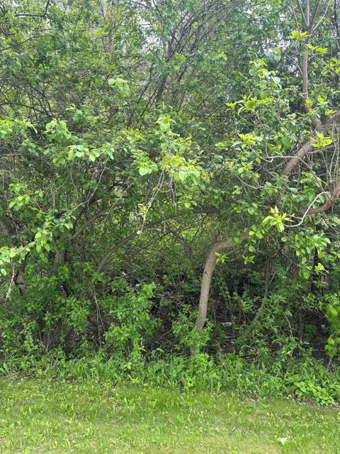 Lot 49 Leona Drive, Mount Pleasant MI 48858 photo 3