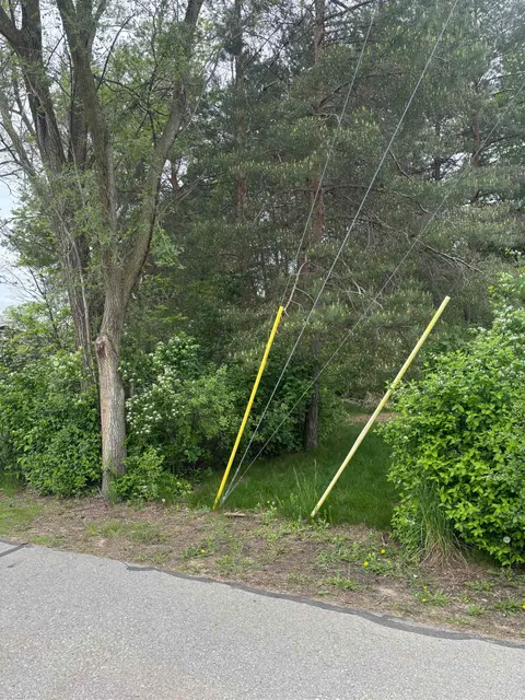 Lot 49 Leona Drive, Mount Pleasant MI 48858 photo 4