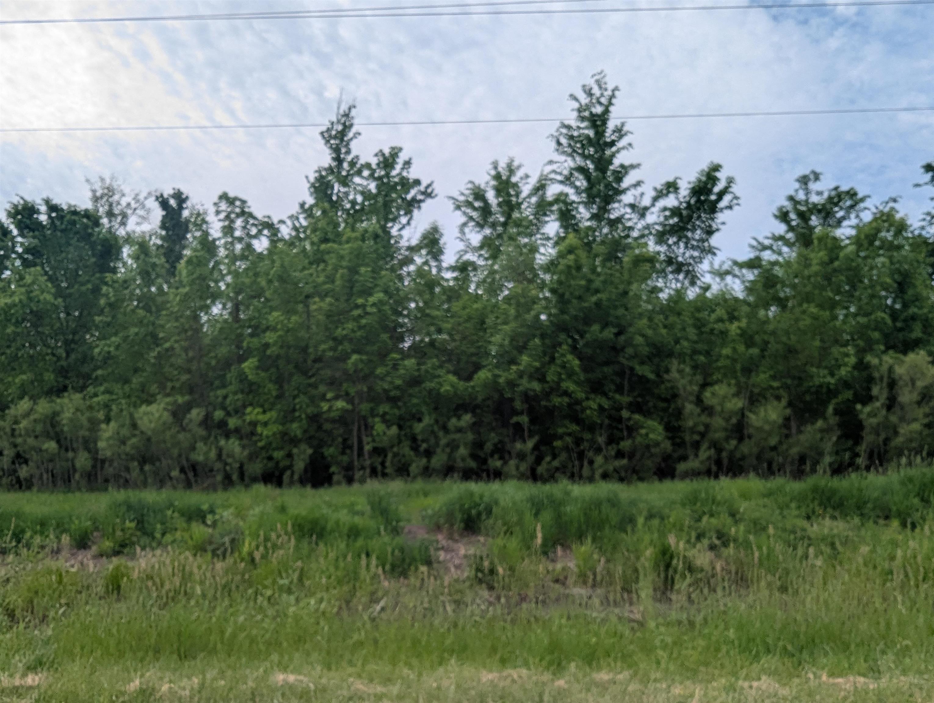 N/A Twining Road, Au Gres MI 48703 photo 1