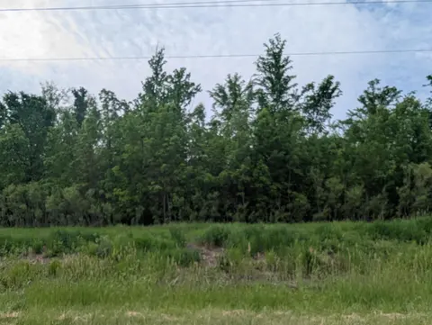 N/A Twining Road, Au Gres MI 48703 photo 1