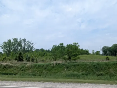 N/A Twining Road, Au Gres MI 48703 photo 3