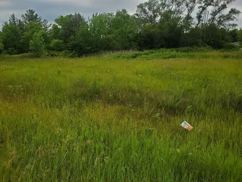7205 E Pickard Road, Mount Pleasant MI 48858 photo 3