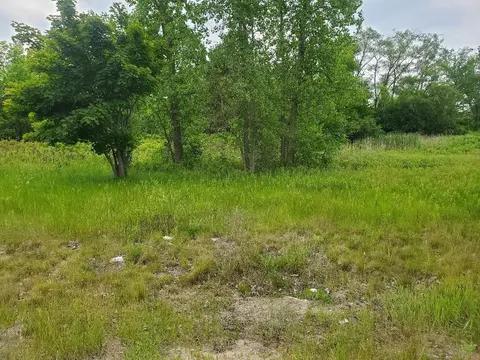 7205 E Pickard Road, Mount Pleasant MI 48858 photo 5