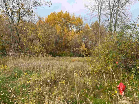 Lot 10 Mcdonald Drive, Mount Pleasant MI 48858 photo 4