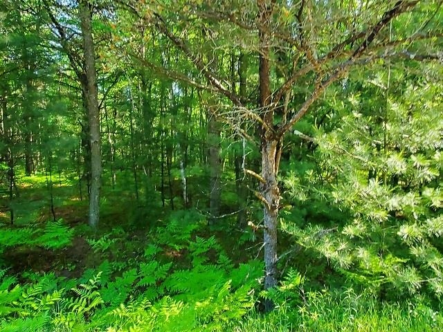 0 Hillside Drive, Alger MI 48610 photo 1