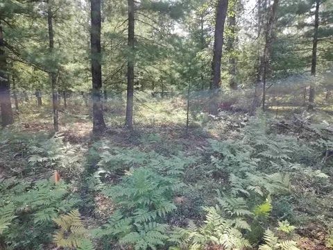 Lot 186 Winterset Drive, Alger MI 48610 photo 1