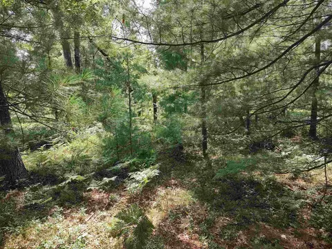Lot 186 Winterset Drive, Alger MI 48610 photo 3