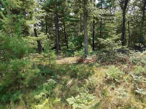Lot 186 Winterset Drive, Alger MI 48610 photo 5