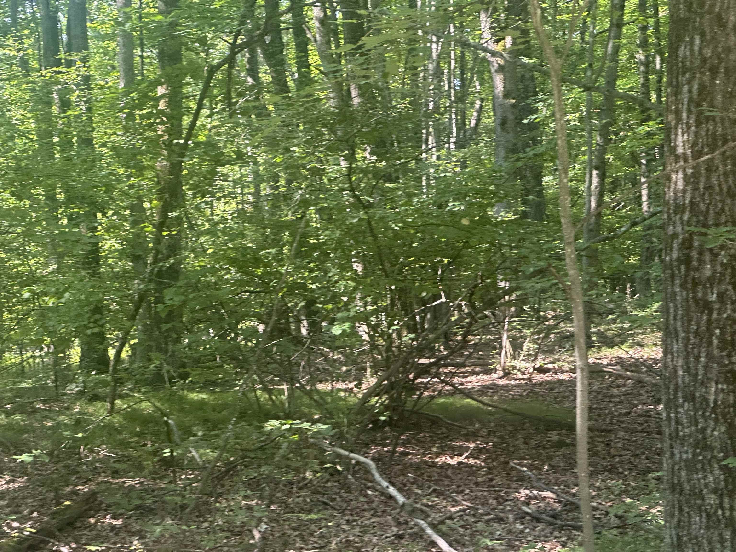 Lot # 179 Mockingbird Circle, Farwell MI 48622 photo 1