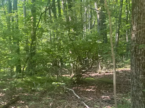 Lot # 179 Mockingbird Circle, Farwell MI 48622 photo 1