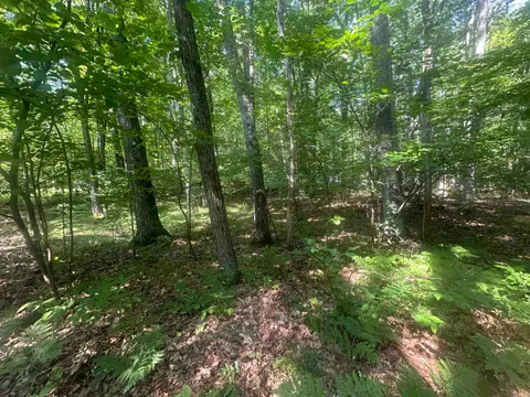 Lot # 179 Mockingbird Circle, Farwell MI 48622 photo 3