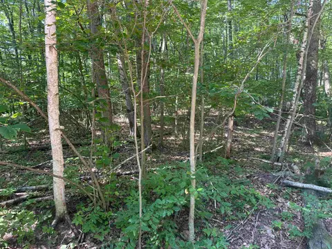 Lot # 179 Mockingbird Circle, Farwell MI 48622 photo 4
