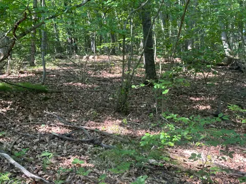 Lot # 179 Mockingbird Circle, Farwell MI 48622 photo 5