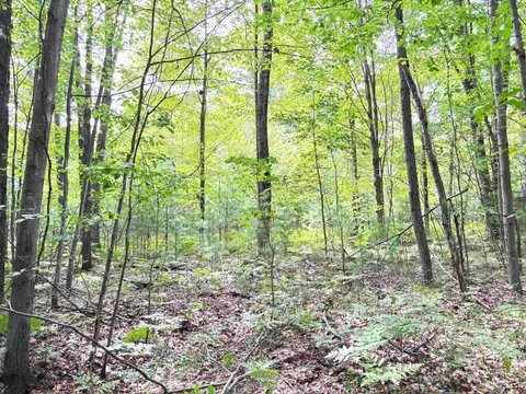 N Leaton Road, Mount Pleasant MI 48858 photo 3