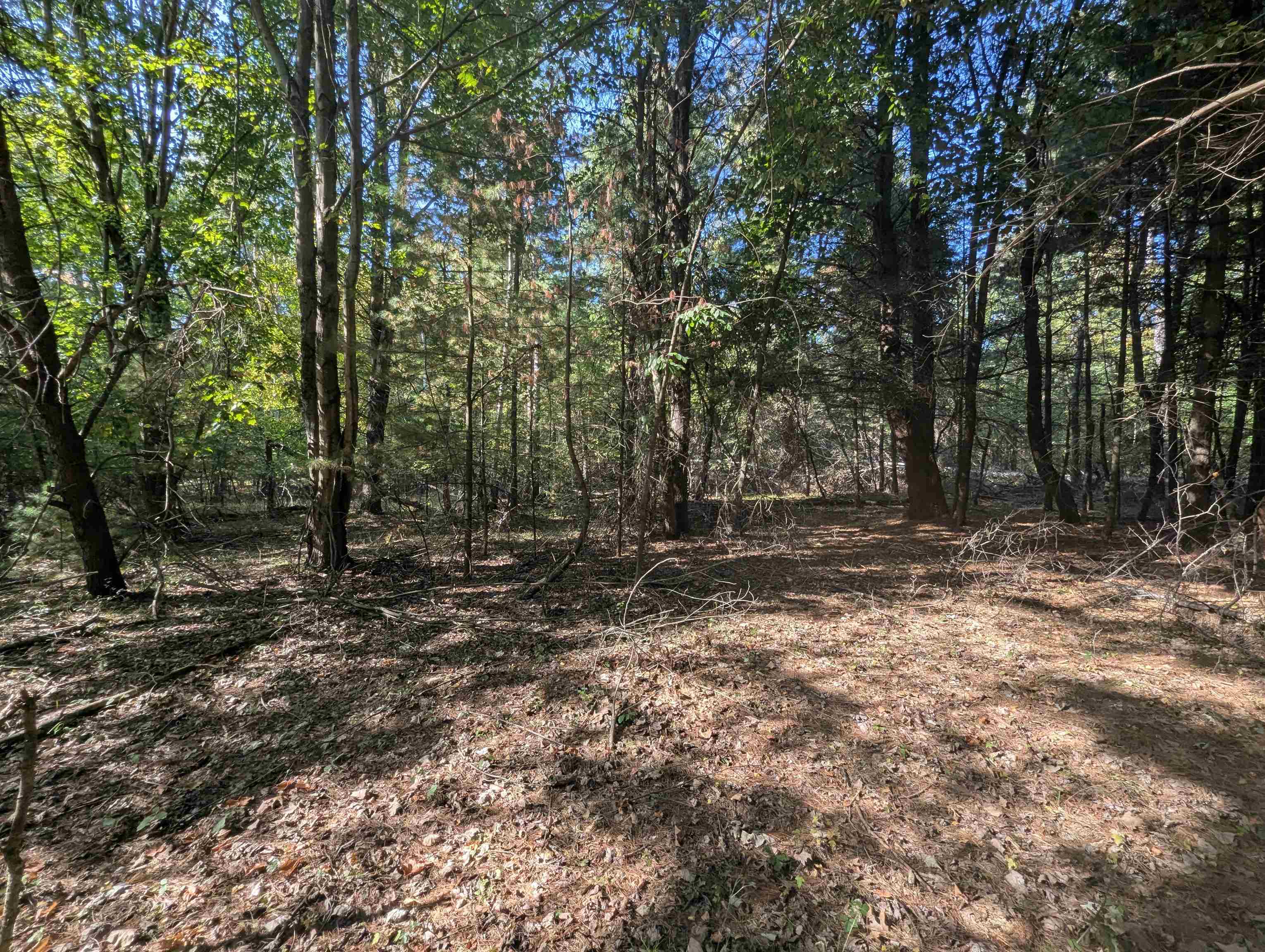 N/A N Forest Lake Drive, Alger MI 48610 photo 1