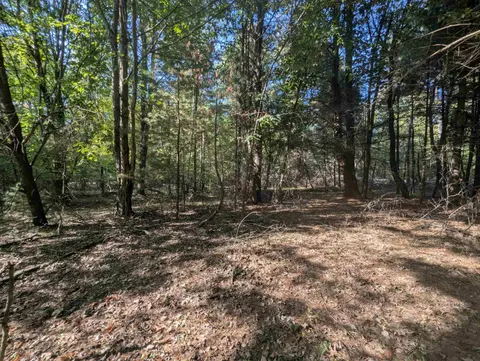 N/A N Forest Lake Drive, Alger MI 48610 photo 1