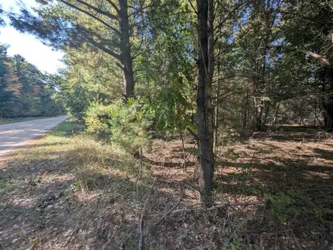 N/A N Forest Lake Drive, Alger MI 48610 photo 3