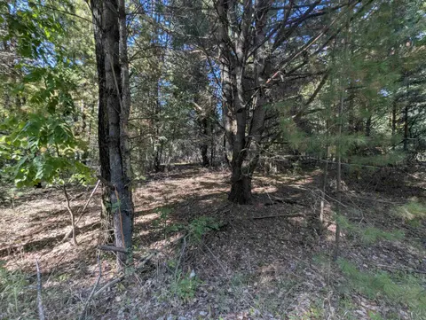 N/A N Forest Lake Drive, Alger MI 48610 photo 4