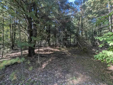 N/A N Forest Lake Drive, Alger MI 48610 photo 5