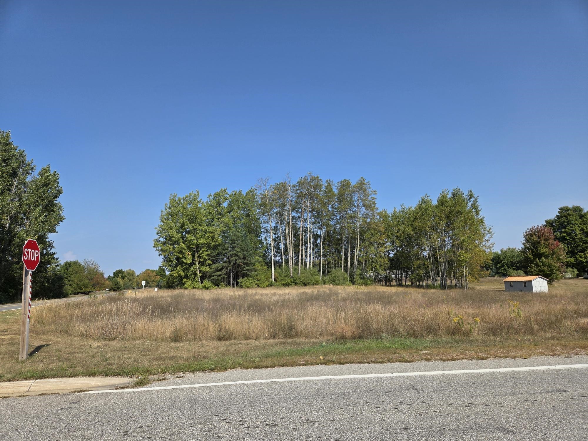 1001 El Camino Grande, Weidman MI 48893-9718 photo 1