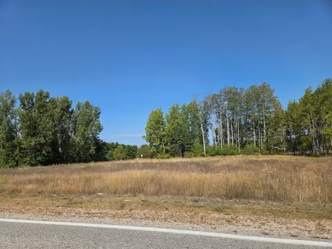 1001 El Camino Grande, Weidman MI 48893-9718 photo 5