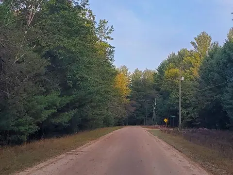 0 Buffalo Trail, Alger MI 48610 photo 2