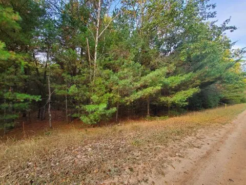 0 Buffalo Trail, Alger MI 48610 photo 3