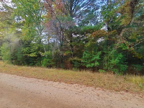 0 Buffalo Trail, Alger MI 48610 photo 4