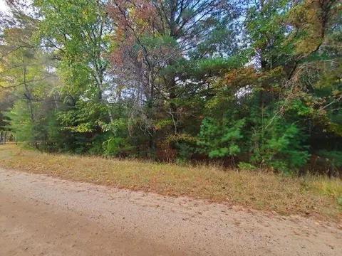 0 Buffalo Trail, Alger MI 48610 photo 5