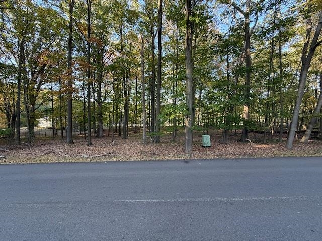 TBD Hiawatha Drive, Mount Pleasant MI 48858 photo 1