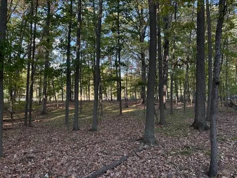 TBD Hiawatha Drive, Mount Pleasant MI 48858 photo 2