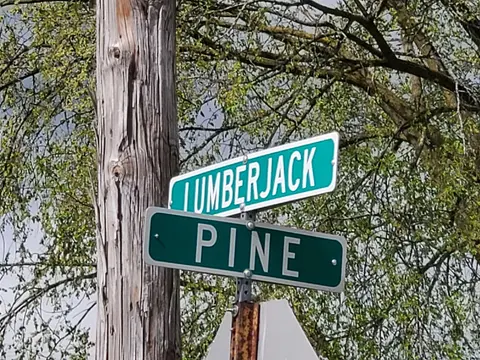TBD N Lumberjack Road, Riverdale MI 48877 photo 2