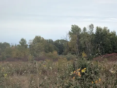 N/A Court Street, Au Gres MI 48703 photo 5