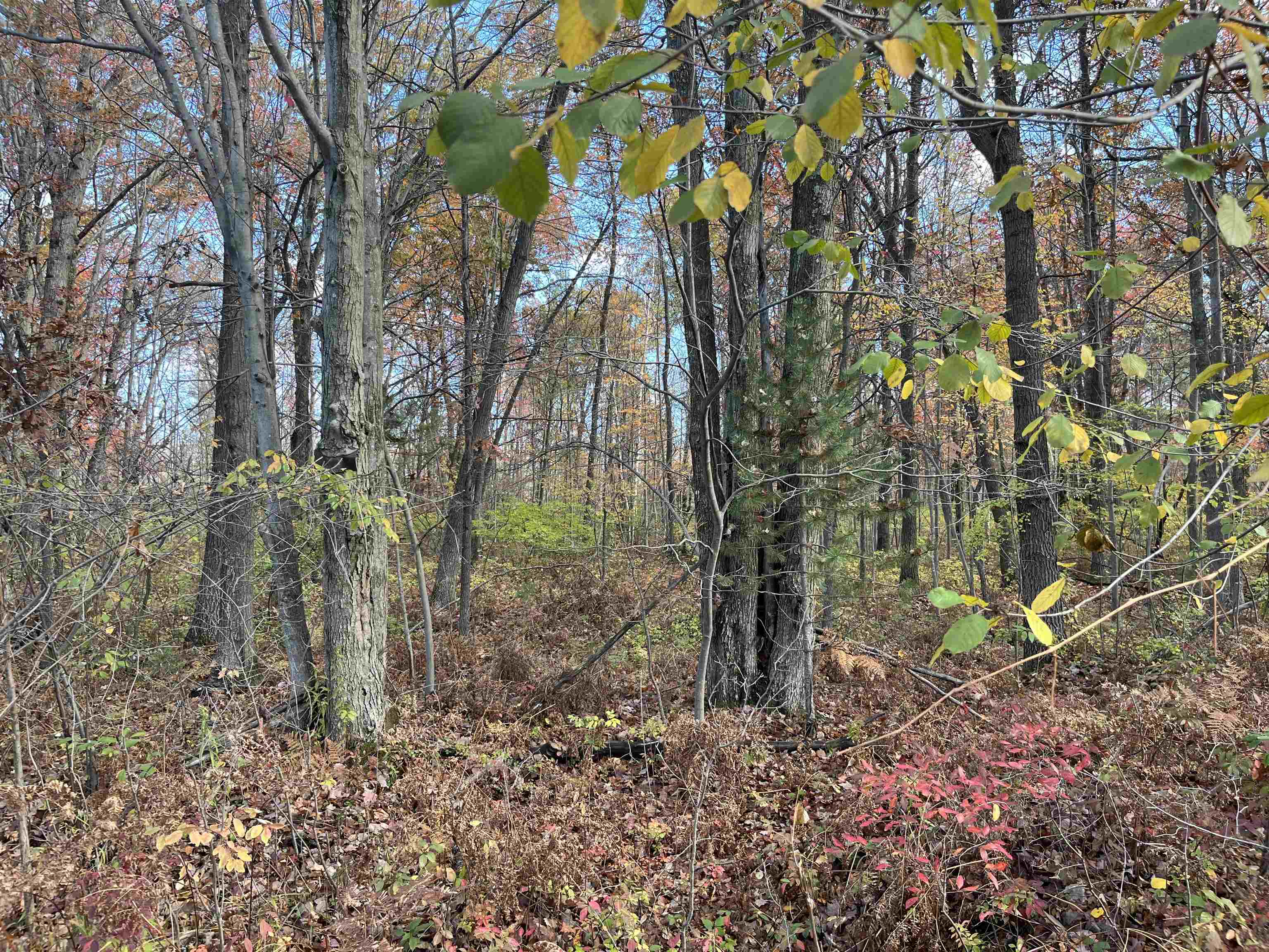 NKA Husak Road, Omer MI 48749 photo 1