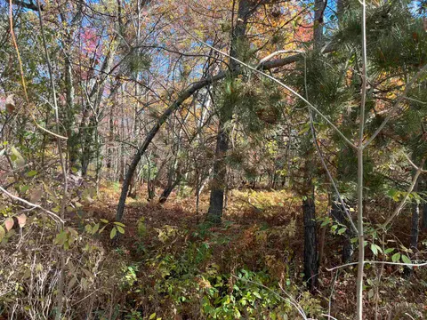 NKA Husak Road, Omer MI 48749 photo 2