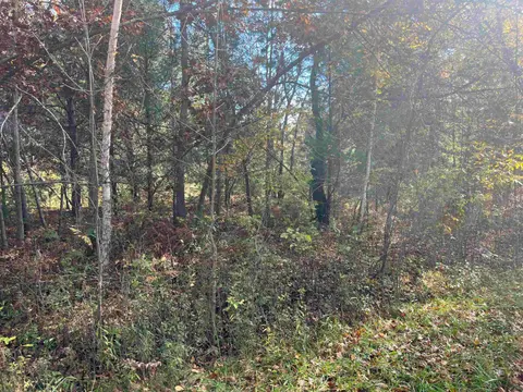 NKA Husak Road, Omer MI 48749 photo 3