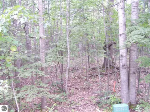 TBD N Circle E, Farwell MI 48622 photo 2