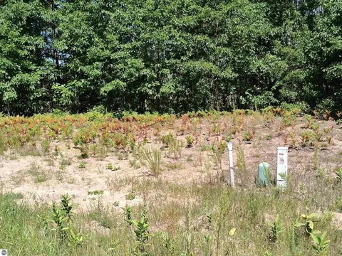 TBD N Circle E, Farwell MI 48622 photo 5