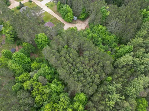 TBD Primrose Lane, Farwell MI 48622 photo 3