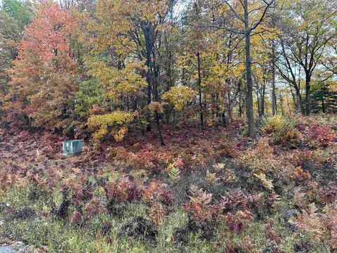 Lot #5 N Circle E, Farwell MI 48622 photo 3