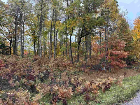 Lot #5 N Circle E, Farwell MI 48622 photo 4