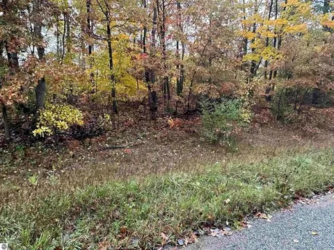 Lot #6 N Circle E, Farwell MI 48622 photo 4