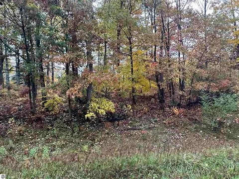 Lot #6 N Circle E, Farwell MI 48622 photo 5