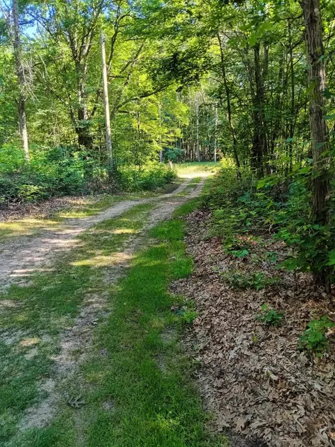 7907 W Weidman Road, Weidman MI 48893 photo 3