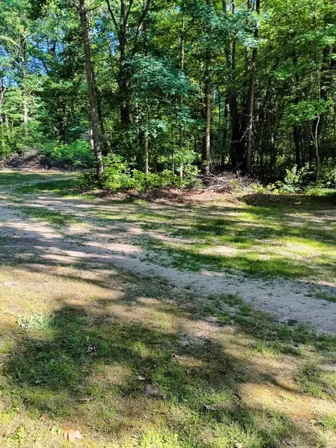 7907 W Weidman Road, Weidman MI 48893 photo 4