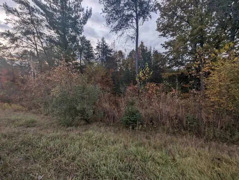 N/A E Huron, Omer MI 48749 photo 2