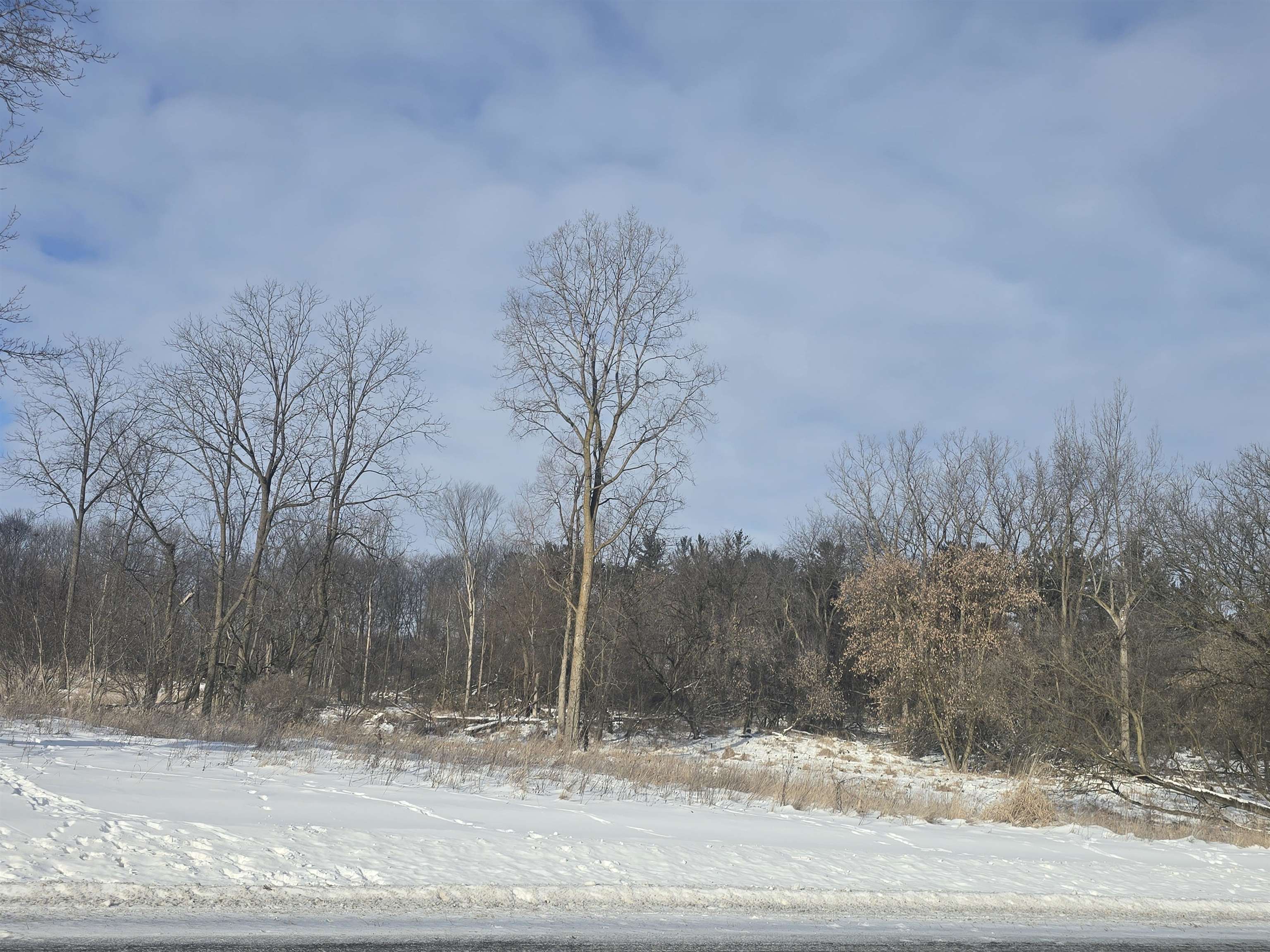 S Pine River Road, Ithaca MI 48847 photo 1