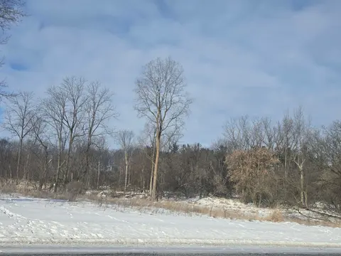 S Pine River Road, Ithaca MI 48847 photo 1